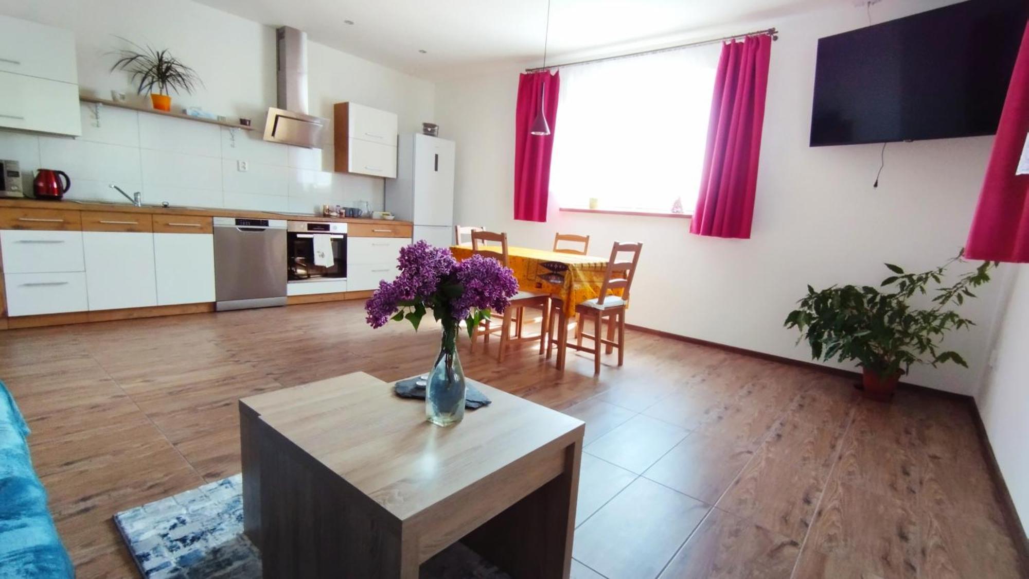 Apartman Scheyer Frydek-Mistek Bagian luar foto